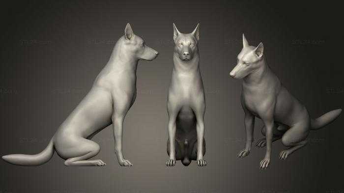 Animal figurines (German Shepherd Dog, STKJ_1000) 3D models for cnc
